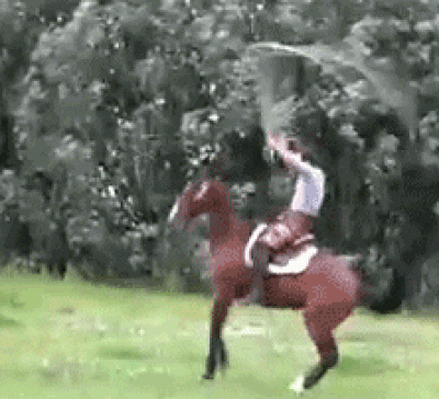 horse jump rope.gif