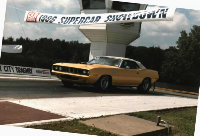 yellowcuda2.jpg