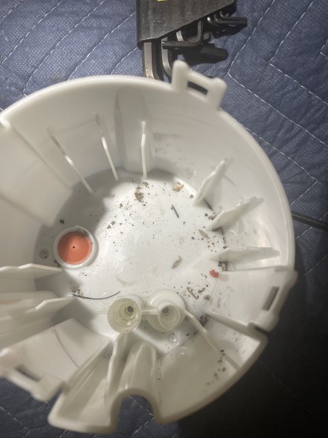 trash.jpg