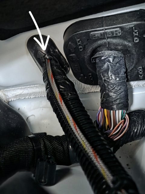 20260419_191440.jpg