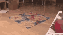 cat messes up carpet.gif