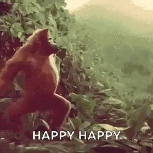happy ape.gif
