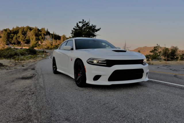 Hellcat Photo Short 1.jpg