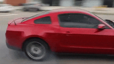 mustang showoff 3.gif