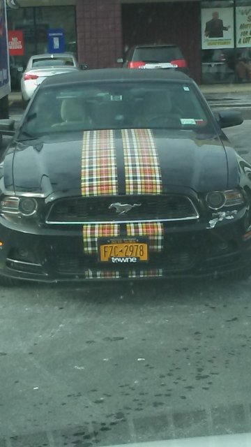 hideous mustang.jpg