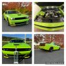 greenbee